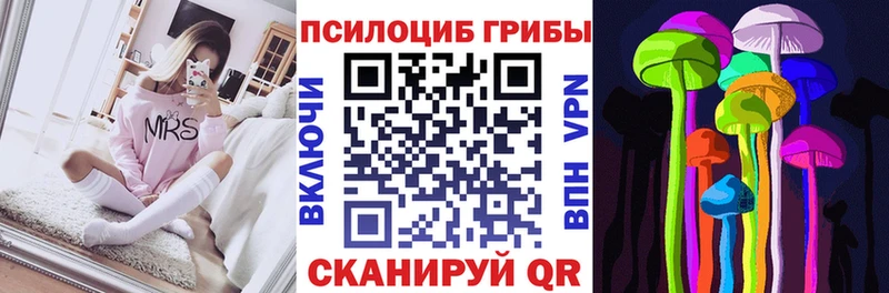 продажа наркотиков  Холм  Галлюциногенные грибы Cubensis 